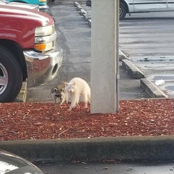 daily picdump 101 pics 4.html - 101 HD Photos | Premium Gallery 2018