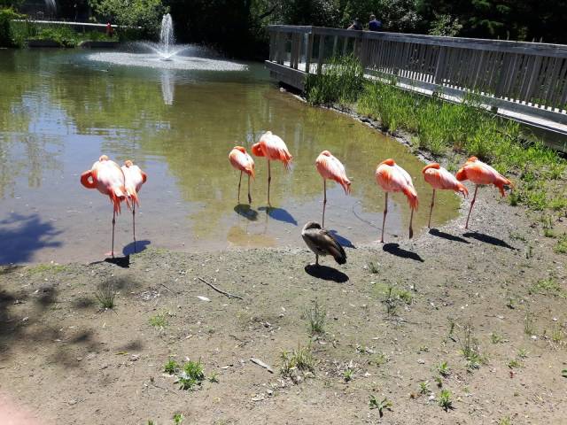 daily picdump 101 pics 4.html - 101 HD Photos | Premium Gallery 2018