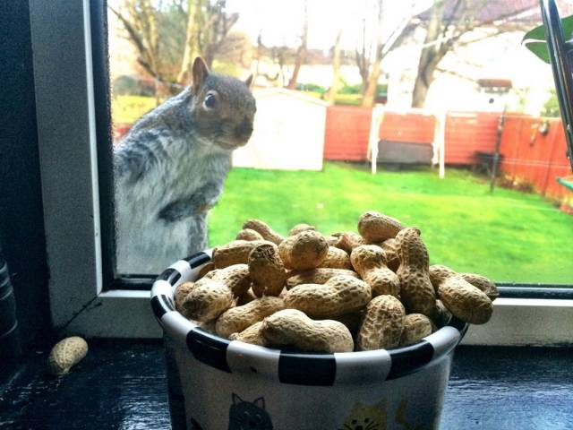 daily picdump 101 pics 4.html - 101 HD Photos | Premium Gallery 2018