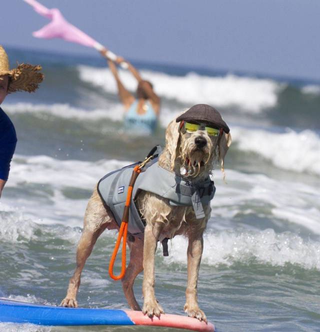 daily picdump 101 pics 4.html - 101 HD Photos | Premium Gallery 2018