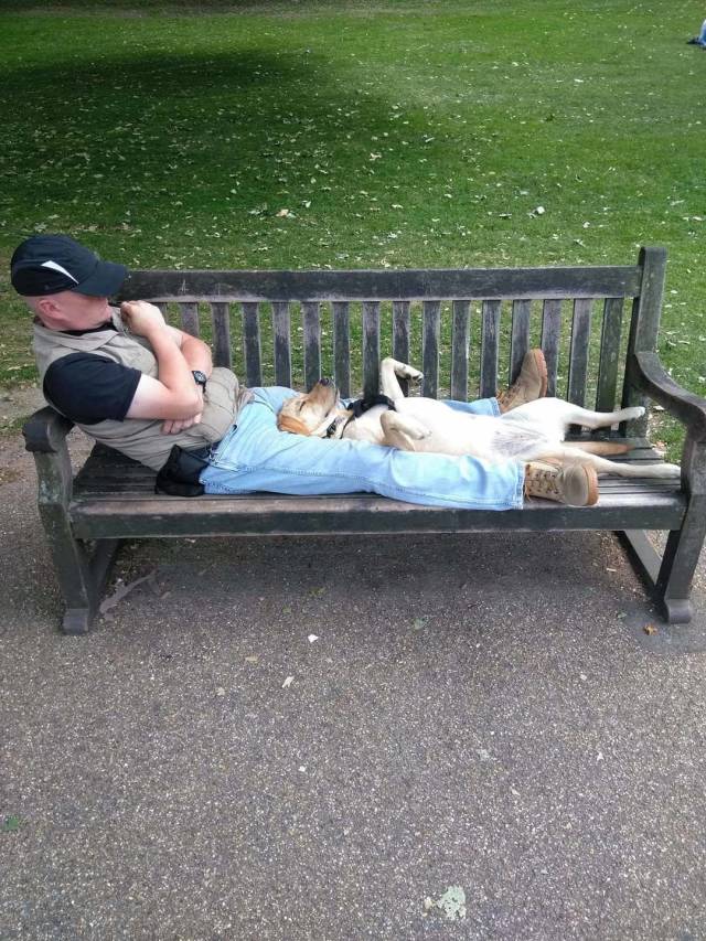 daily picdump 101 pics 4.html - 101 HD Photos | Premium Gallery 2018