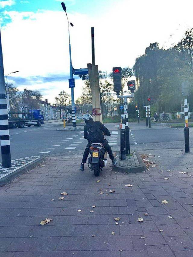 daily picdump 101 pics 4.html - 101 HD Photos | Premium Gallery 2018