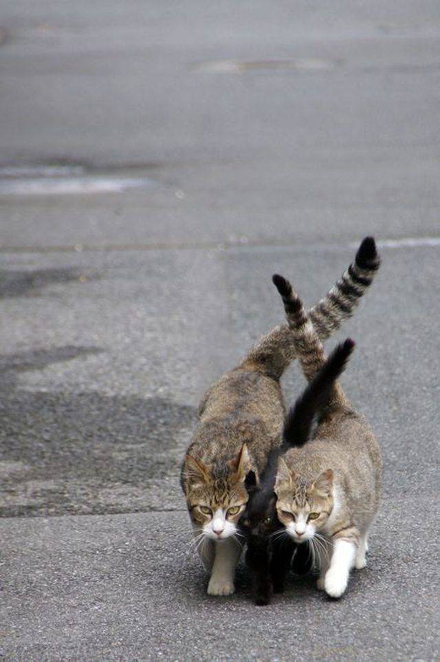 daily picdump 101 pics 4.html - 101 HD Photos | Premium Gallery 2018