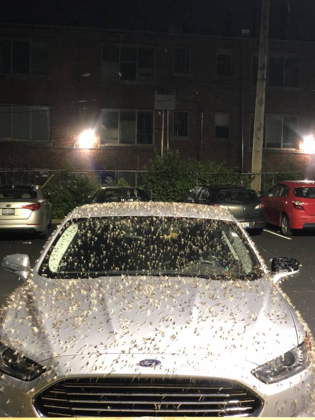 morning picdump 51 pics 6.html - 51 HD Photos | Premium Gallery 2018