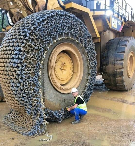 Pics That Are So Poignant and Fascinating