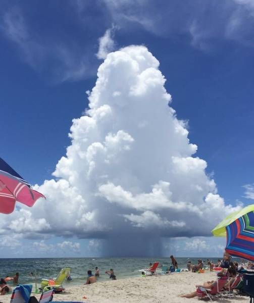 Pics That Are So Poignant and Fascinating