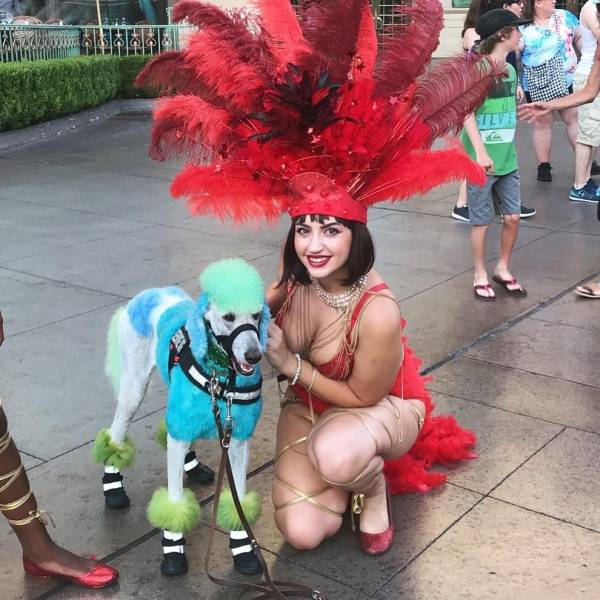 daily picdump 104 pics 3.html - 104 HD Photos | Premium Gallery 2018