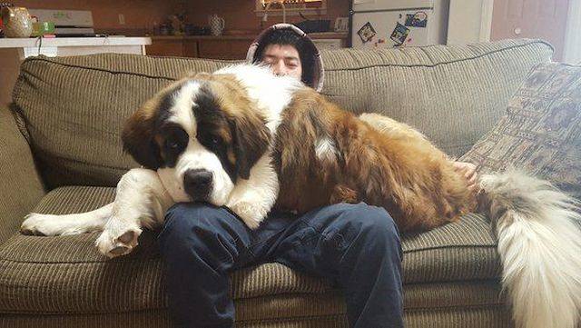 daily picdump 104 pics 3.html - 104 HD Photos | Premium Gallery 2018