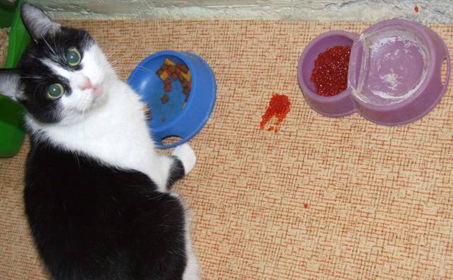 daily picdump 104 pics 3.html - 104 HD Photos | Premium Gallery 2018