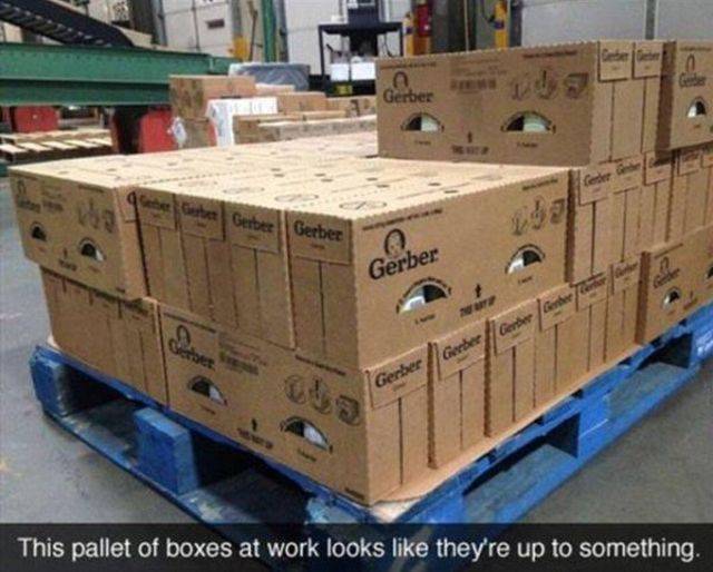 daily picdump 104 pics 3.html - 104 HD Photos | Premium Gallery 2018