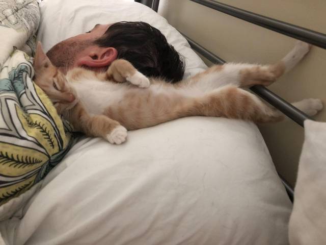 daily picdump 104 pics 3.html - 104 HD Photos | Premium Gallery 2018