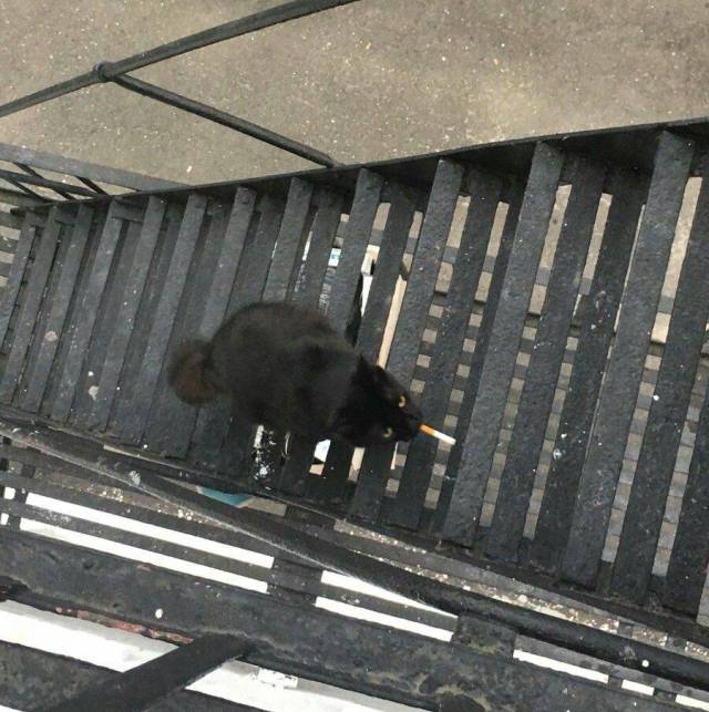 daily picdump 104 pics 3.html - 104 HD Photos | Premium Gallery 2018