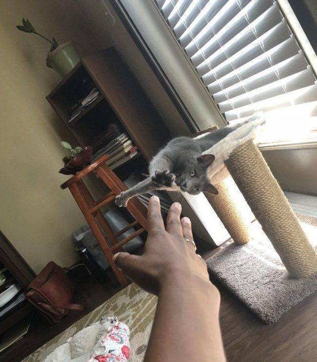 daily picdump 104 pics 3.html - 104 HD Photos | Premium Gallery 2018