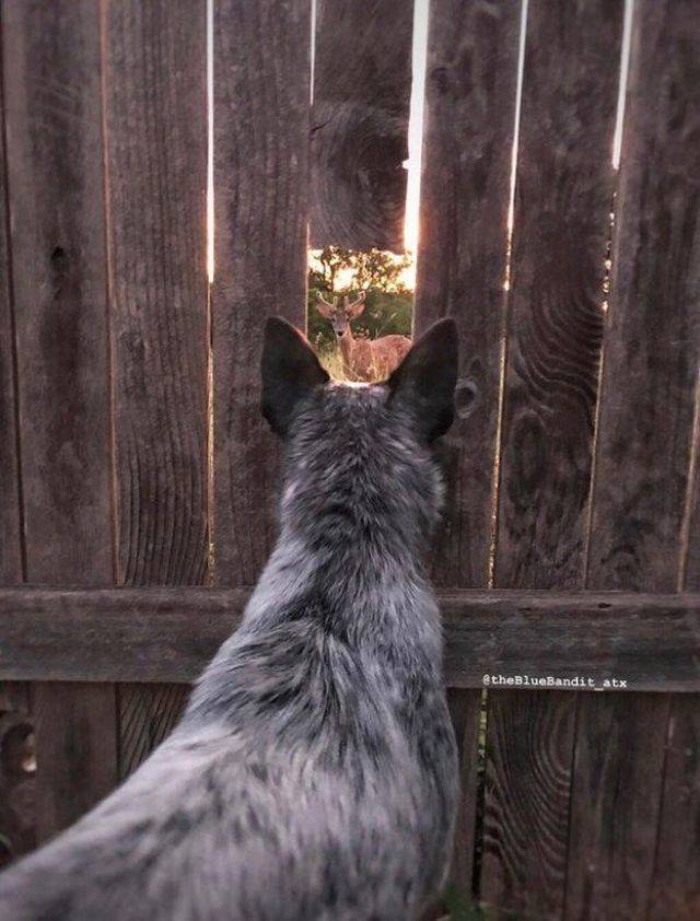 daily picdump 104 pics 3.html - 104 HD Photos | Premium Gallery 2018