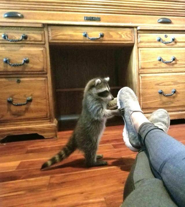 daily picdump 104 pics 3.html - 104 HD Photos | Premium Gallery 2018