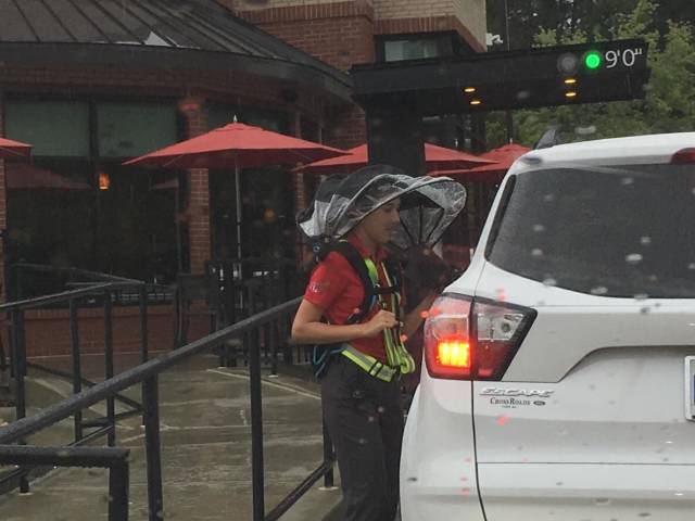 morning picdump 51 pics 48.html - 51 HD Photos | Premium Gallery 2018