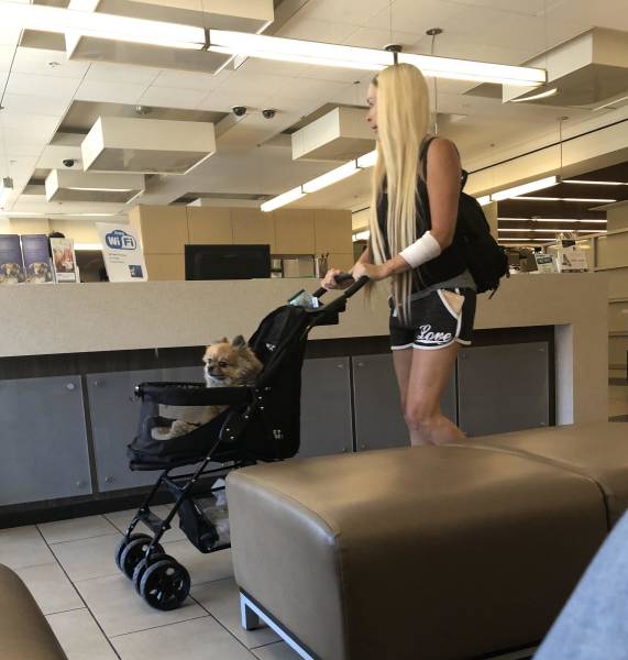 morning picdump 51 pics 48.html - 51 HD Photos | Premium Gallery 2018