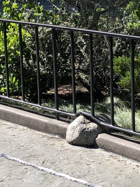 morning picdump 51 pics 48.html - 51 HD Photos | Premium Gallery 2018