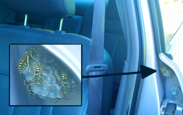 morning picdump 51 pics 48.html - 51 HD Photos | Premium Gallery 2018