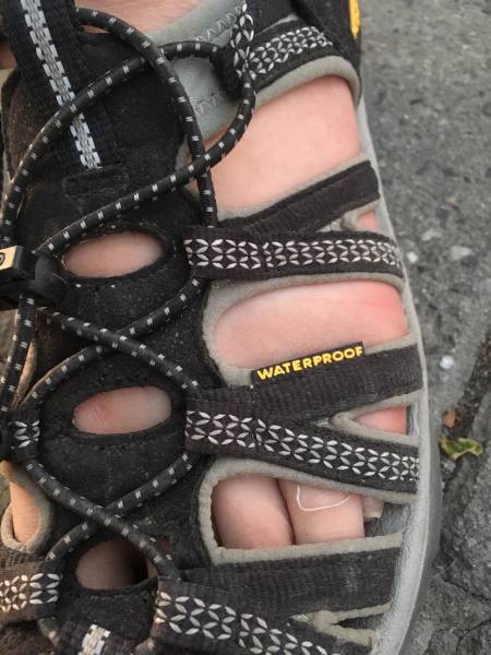 morning picdump 51 pics 48.html - 51 HD Photos | Premium Gallery 2018