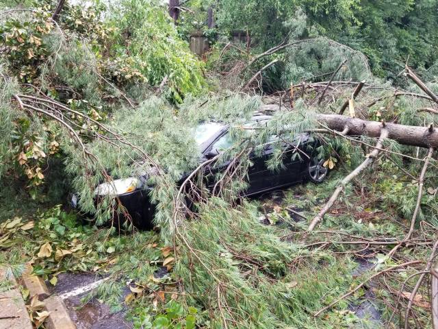 morning picdump 51 pics 48.html - 51 HD Photos | Premium Gallery 2018