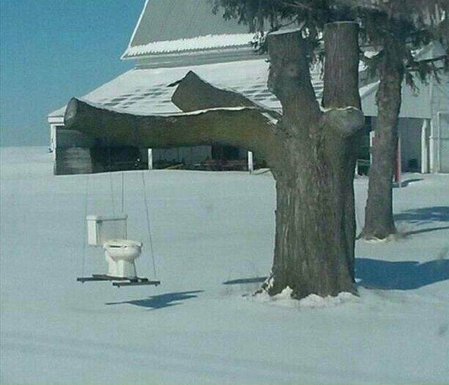 daily picdump 98 pics 30.html - 98 HD Photos | Premium Gallery 2018