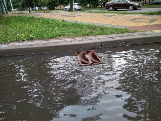 daily picdump 98 pics 30.html - 98 HD Photos | Premium Gallery 2018