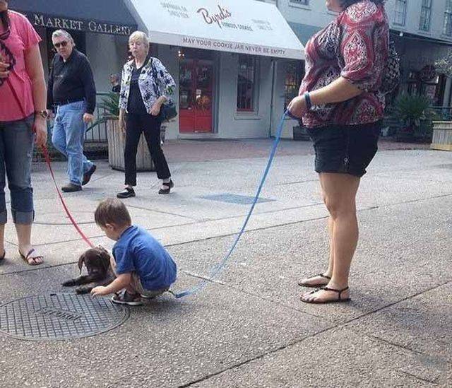daily picdump 98 pics 30.html - 98 HD Photos | Premium Gallery 2018