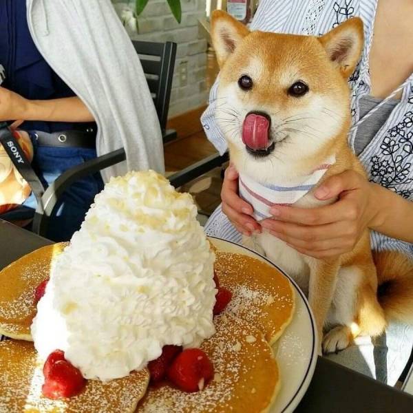 daily picdump 98 pics 30.html - 98 HD Photos | Premium Gallery 2018