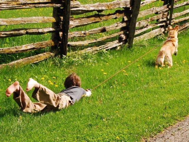 daily picdump 98 pics 30.html - 98 HD Photos | Premium Gallery 2018