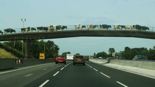 daily picdump 98 pics 30.html - 98 HD Photos | Premium Gallery 2018