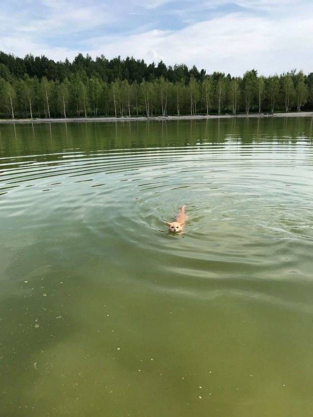 daily picdump 98 pics 30.html - 98 HD Photos | Premium Gallery 2018