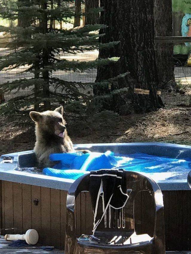 daily picdump 98 pics 30.html - 98 HD Photos | Premium Gallery 2018