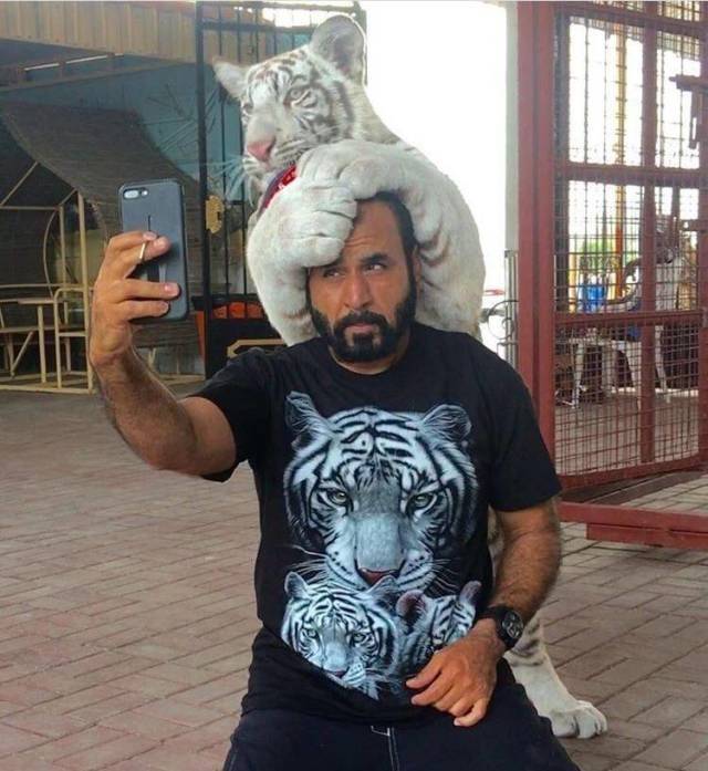 daily picdump 98 pics 30.html - 98 HD Photos | Premium Gallery 2018