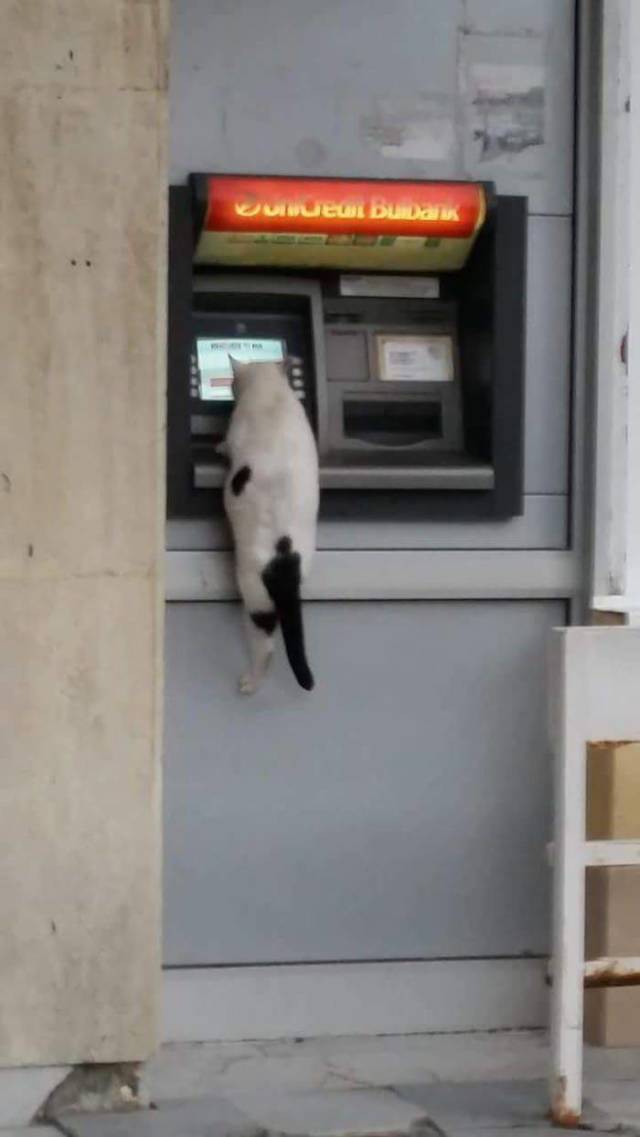 daily picdump 98 pics 30.html - 98 HD Photos | Premium Gallery 2018