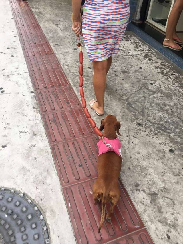 daily picdump 98 pics 30.html - 98 HD Photos | Premium Gallery 2018