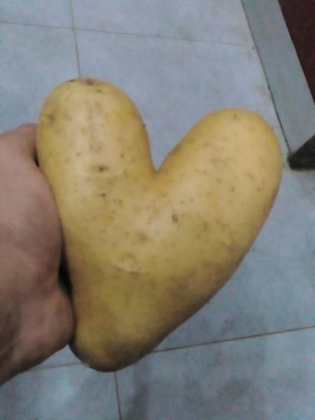 morning picdump 51 pics 21.html - 51 HD Photos | Premium Gallery 2018