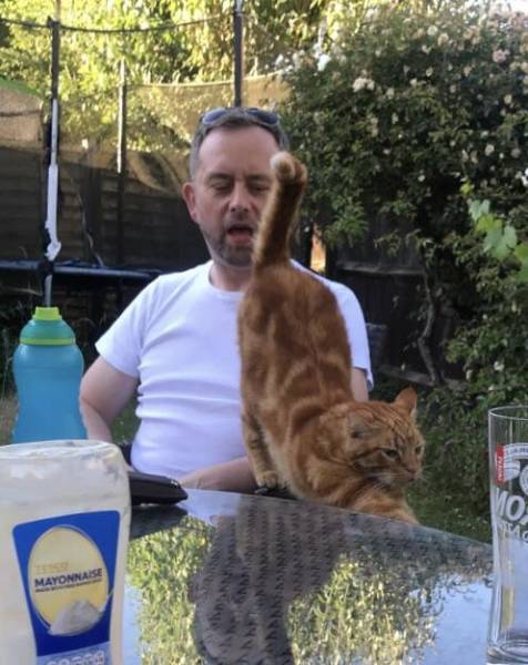 morning picdump 51 pics 21.html - 51 HD Photos | Premium Gallery 2018