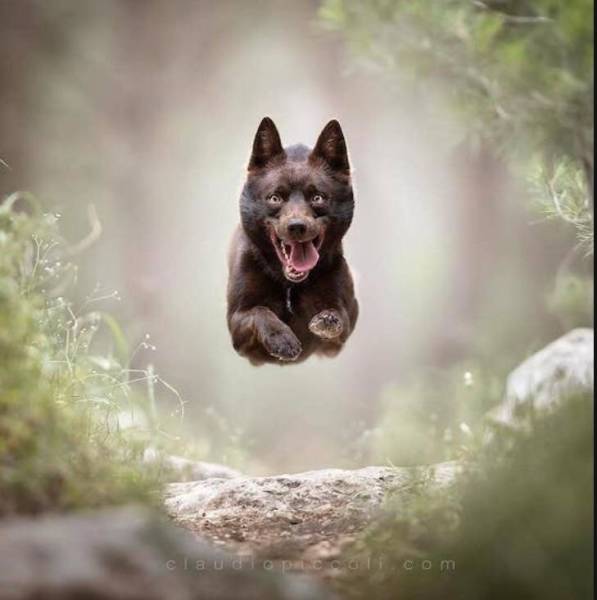 morning picdump 51 pics 21.html - 51 HD Photos | Premium Gallery 2018