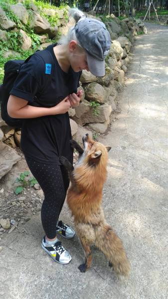 morning picdump 51 pics 21.html - 51 HD Photos | Premium Gallery 2018