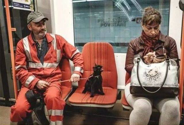 daily picdump 107 pics 33.html - 107 HD Photos | Premium Gallery 2018