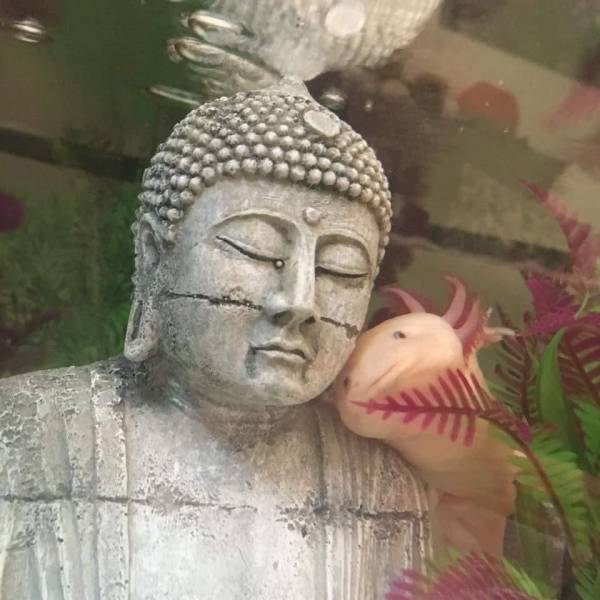 daily picdump 107 pics 33.html - 107 HD Photos | Premium Gallery 2018