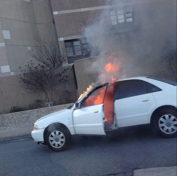 daily picdump 107 pics 33.html - 107 HD Photos | Premium Gallery 2018