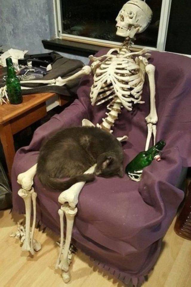 daily picdump 107 pics 33.html - 107 HD Photos | Premium Gallery 2018