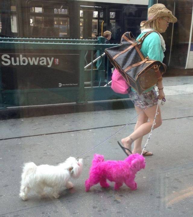 daily picdump 107 pics 33.html - 107 HD Photos | Premium Gallery 2018