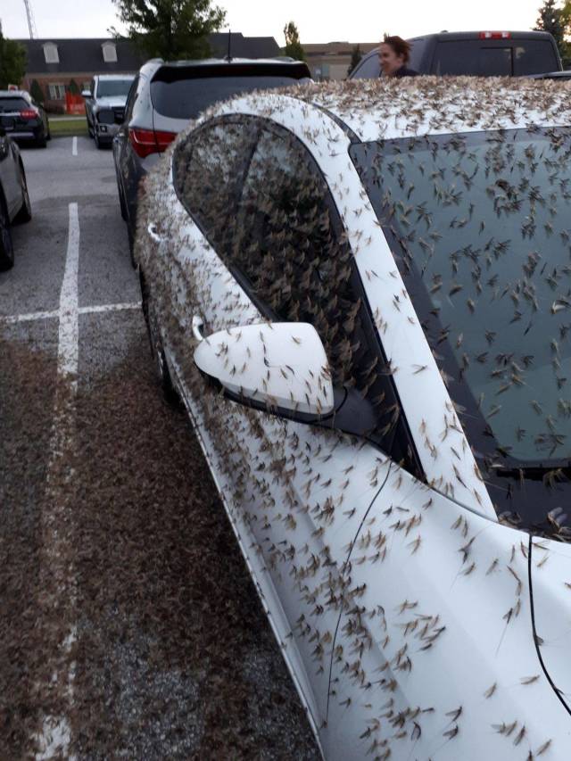 daily picdump 107 pics 33.html - 107 HD Photos | Premium Gallery 2018