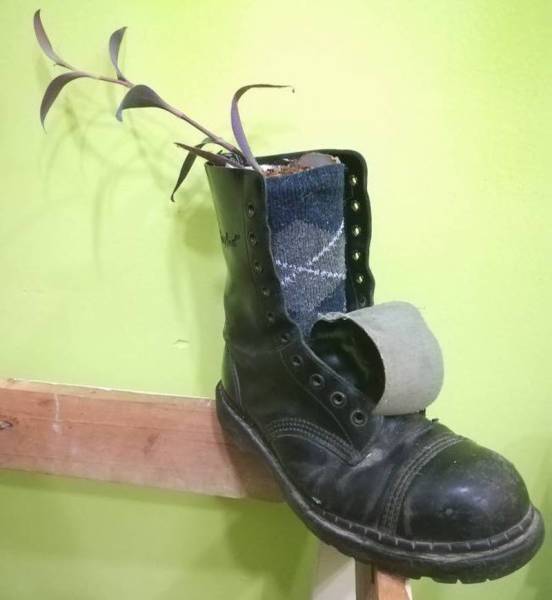 morning picdump 50 pics 18.html - 50 HD Photos | Premium Gallery 2018