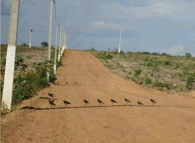 Daily Picdump [WEEKEND EDITION]