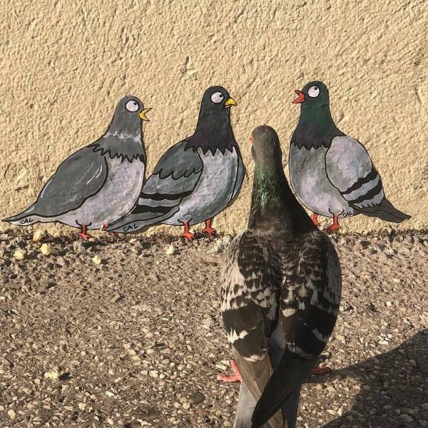 Daily Picdump [WEEKEND EDITION]