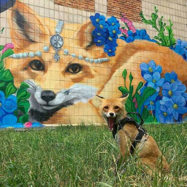 daily picdump weekend edition 72 pics 29.html - 72 HD Photos | Premium Gallery 2018